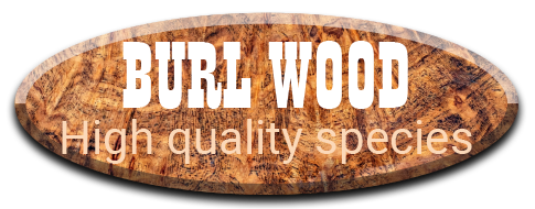 Burl wood icon